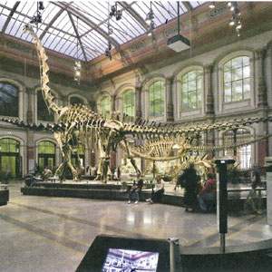 Klassen-Eintritt für das Museum für Naturkunde Berlin